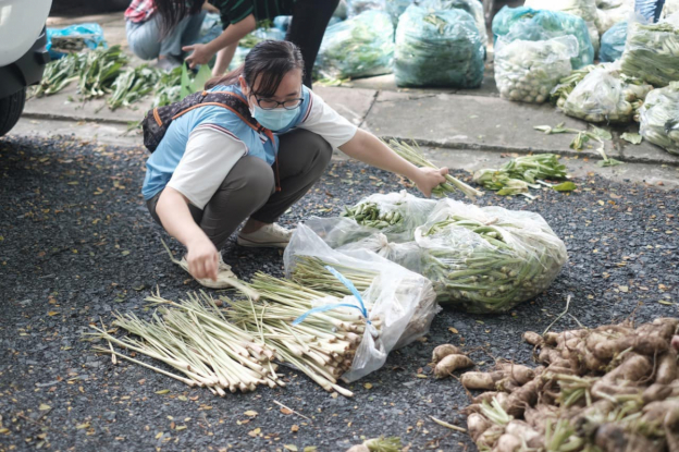 Nghĩa tình quả bầu, trái bí…